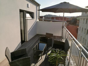 Отель Haas Apartments Downtown  Брно